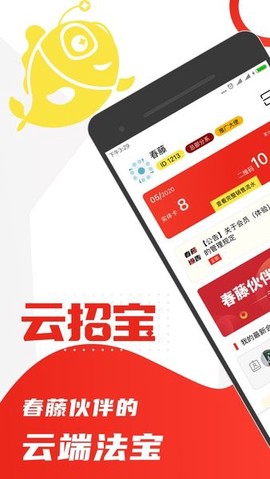 云招宝[图1]