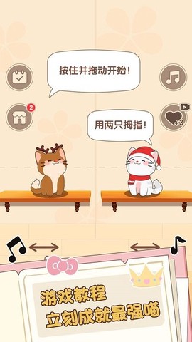 二重奏猫咪[图1]