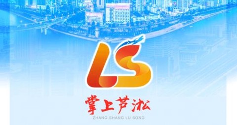 掌上芦淞[图1]