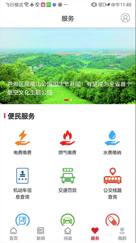 掌上芦淞图2