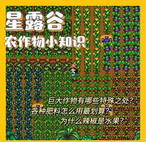 星露谷物语果树怎么种