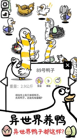 神奇的鸭子图1