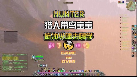 魔兽猎人怎么抓宝宝