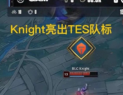 英雄联盟亮队标怎么亮[图2]