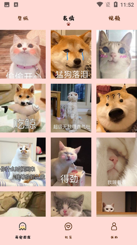喵喵撸猫图3