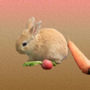 https://static.down8818.com/uploads/20250903/68b7b9dfc43ca0.87339563.png