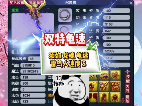 梦幻西游龟速宝宝有什么用