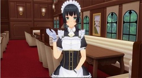 定制女仆2[图1]