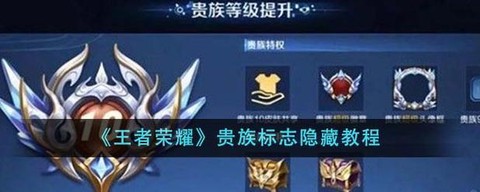 王者荣耀怎么隐藏贵族标志[图2]
