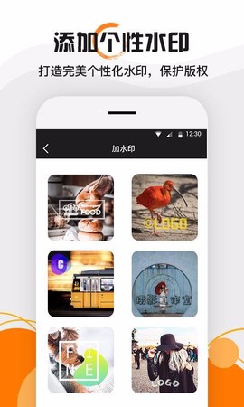 水印大师图1