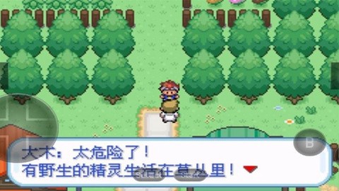 口袋妖怪暴龙版图1