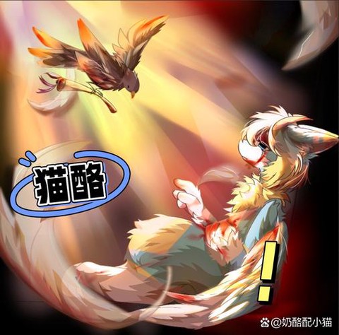 天天酷跑吸血猫怎么样[图1]