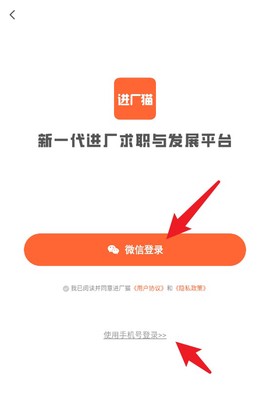 进厂猫[图2]