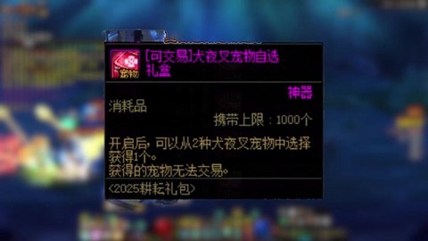 dnf宠物技能怎么用