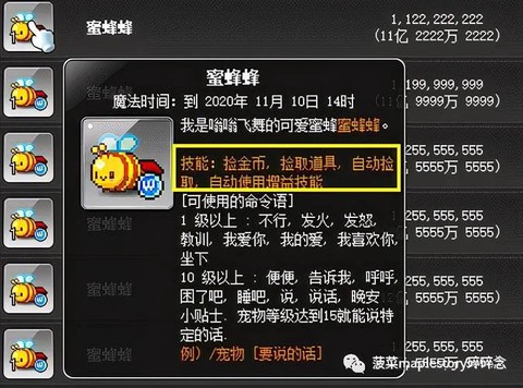 冒险岛2如何获得宠物