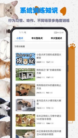 训狗教程[图1]