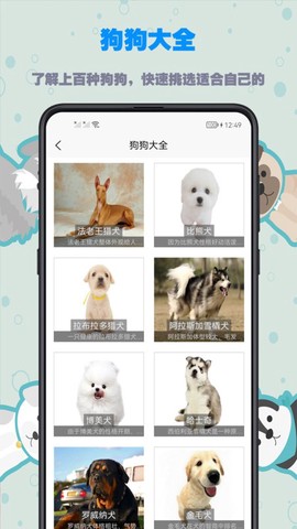 训狗教程图3