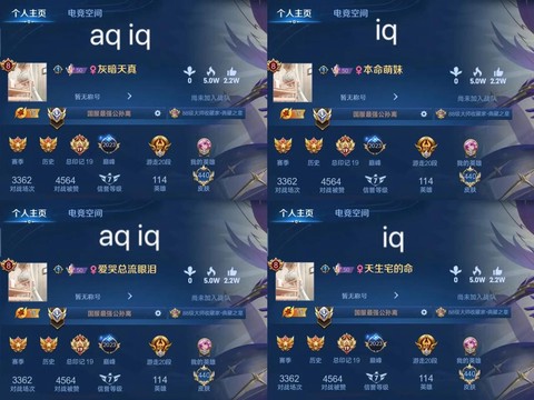 王者荣耀叫什么名字[图2]