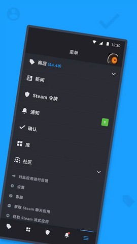 蒸汽平台图1