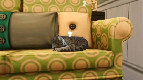 模拟人生4怎么洗猫[图1]