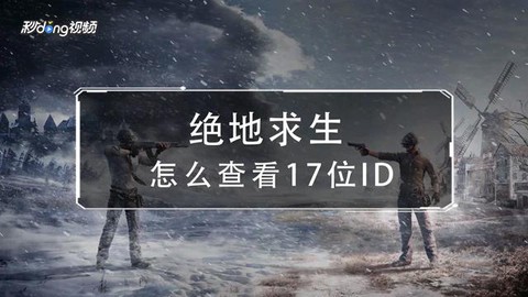 绝地求生怎么看id[图1]