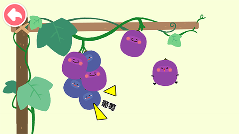 宝宝爱水果蔬菜[图5]