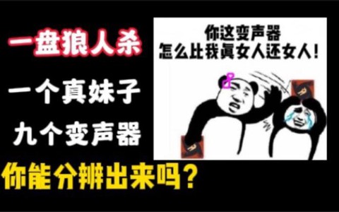 狼人杀能用什么变声器[图1]