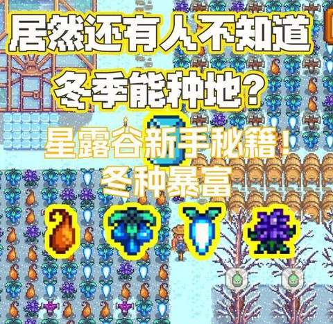 星露谷物语冬天怎么赚钱