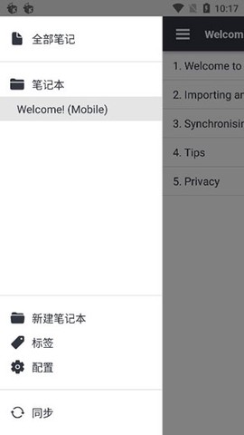 joplin图1
