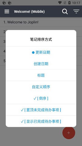 joplin图2