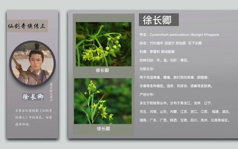仙剑奇侠传找什么药材[图2]
