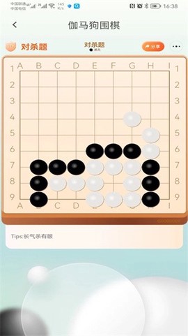伽马狗围棋图1