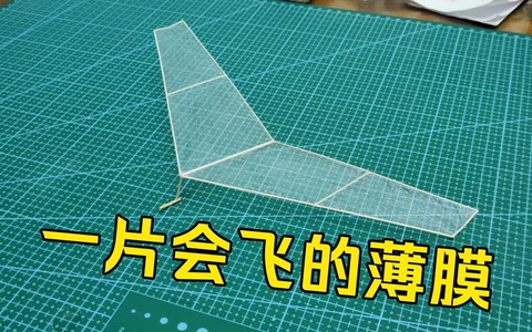 我的世界滑翔翼怎么做[图2]