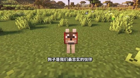 我的世界怎么和狗狗玩