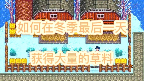 星露谷物语草籽怎么种[图2]