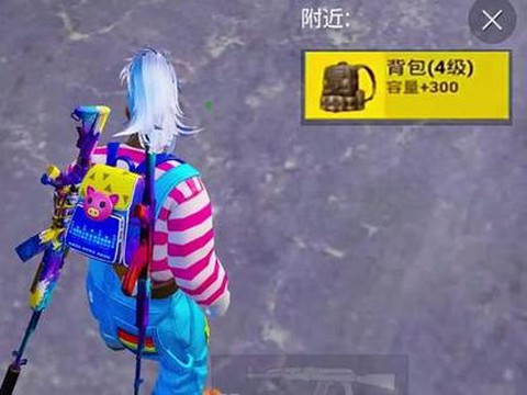 绝地求生四级包什么梗[图2]