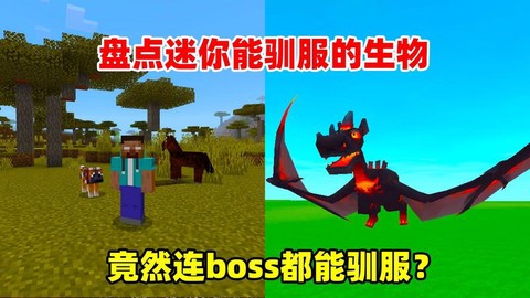 迷你世界都能驯服什么[图2]