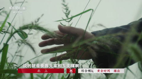 看看影视图2