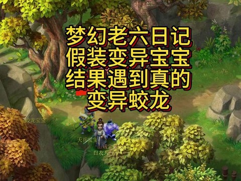 梦幻西游什么蛟龙极品