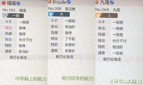 口袋妖怪6v是什么