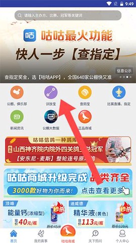 咕咕信鸽[图1]
