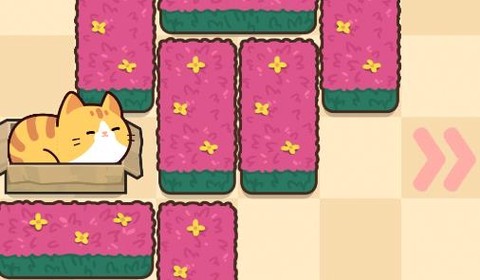 救救这猫咪[图1]