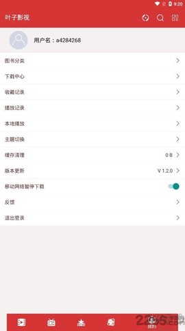 叶子影视图3
