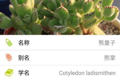爱花草[图1]