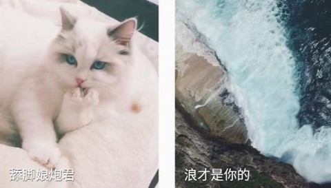 福星来电[图3]