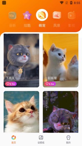 福星来电图3