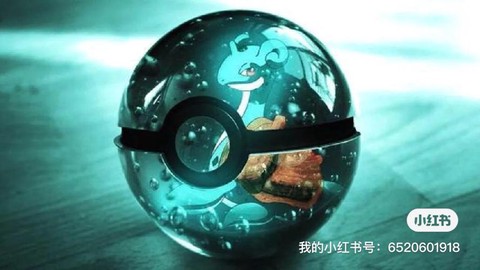 神奇宝贝的球叫什么