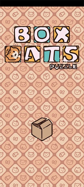 盒子猫图1