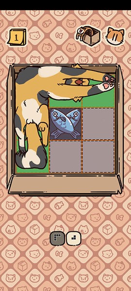 盒子猫图3