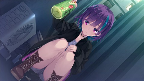 帕奎特图1